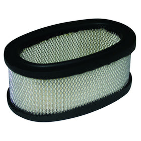 BRIGGS & STRATTON AIR FILTER (AIR3074)