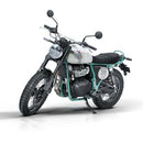 ROYAL ENFIELD BEAR 650- TWO FOUR NINE-2